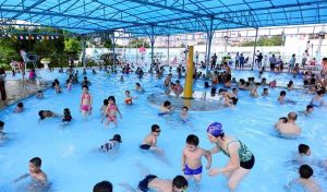 Thiết kế hồ bơi kinh doanh ý tưởng độc đáo
